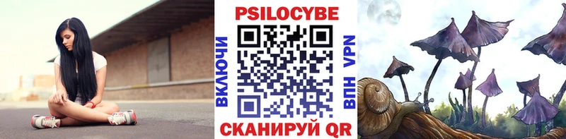 OMG ссылка  Белая Калитва  Галлюциногенные грибы мицелий 