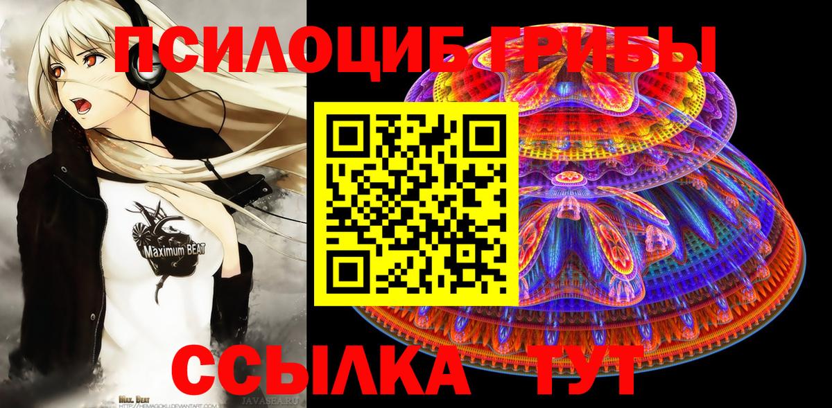 Галлюциногенные грибы Cubensis Белая Калитва